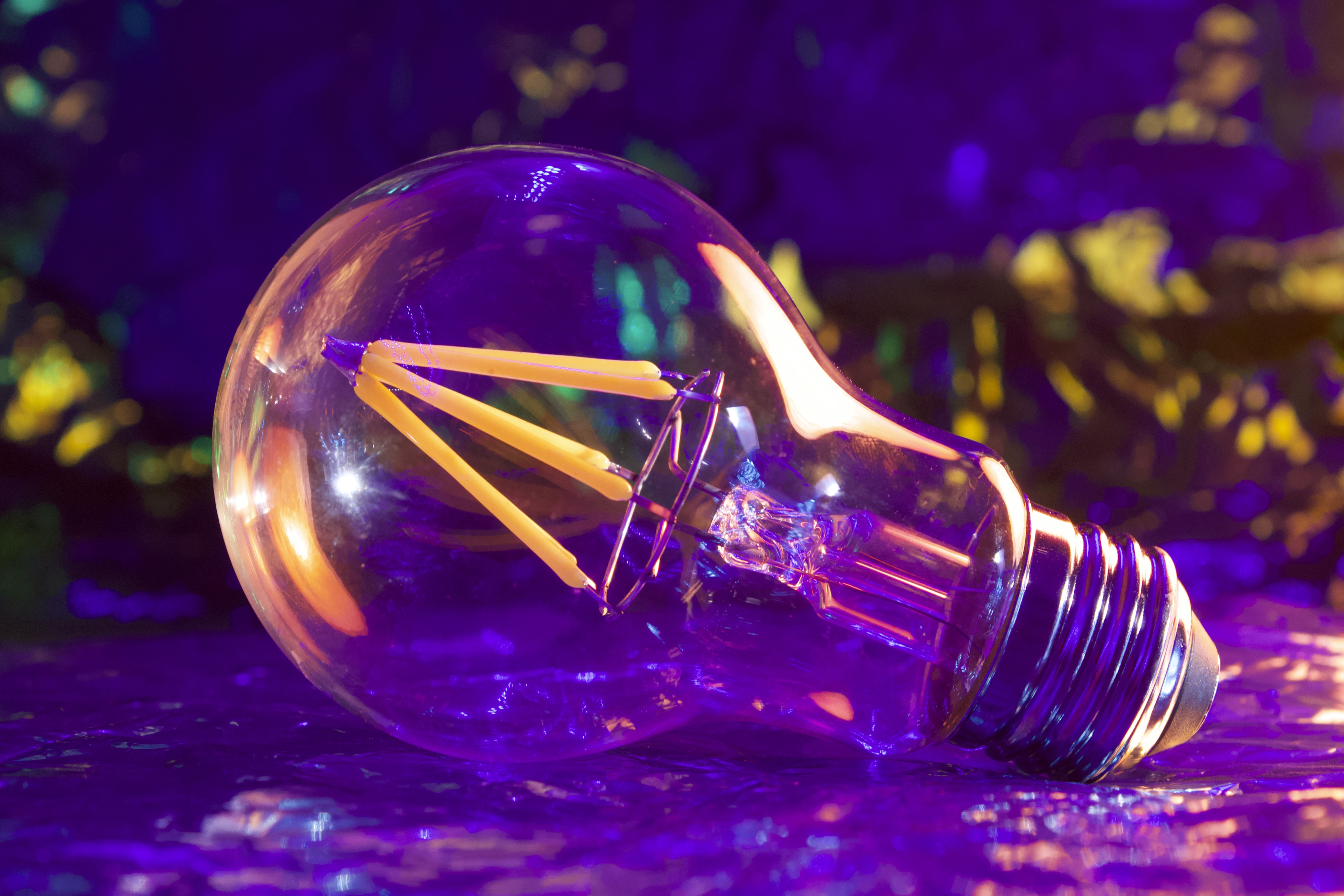 The Bulb 2