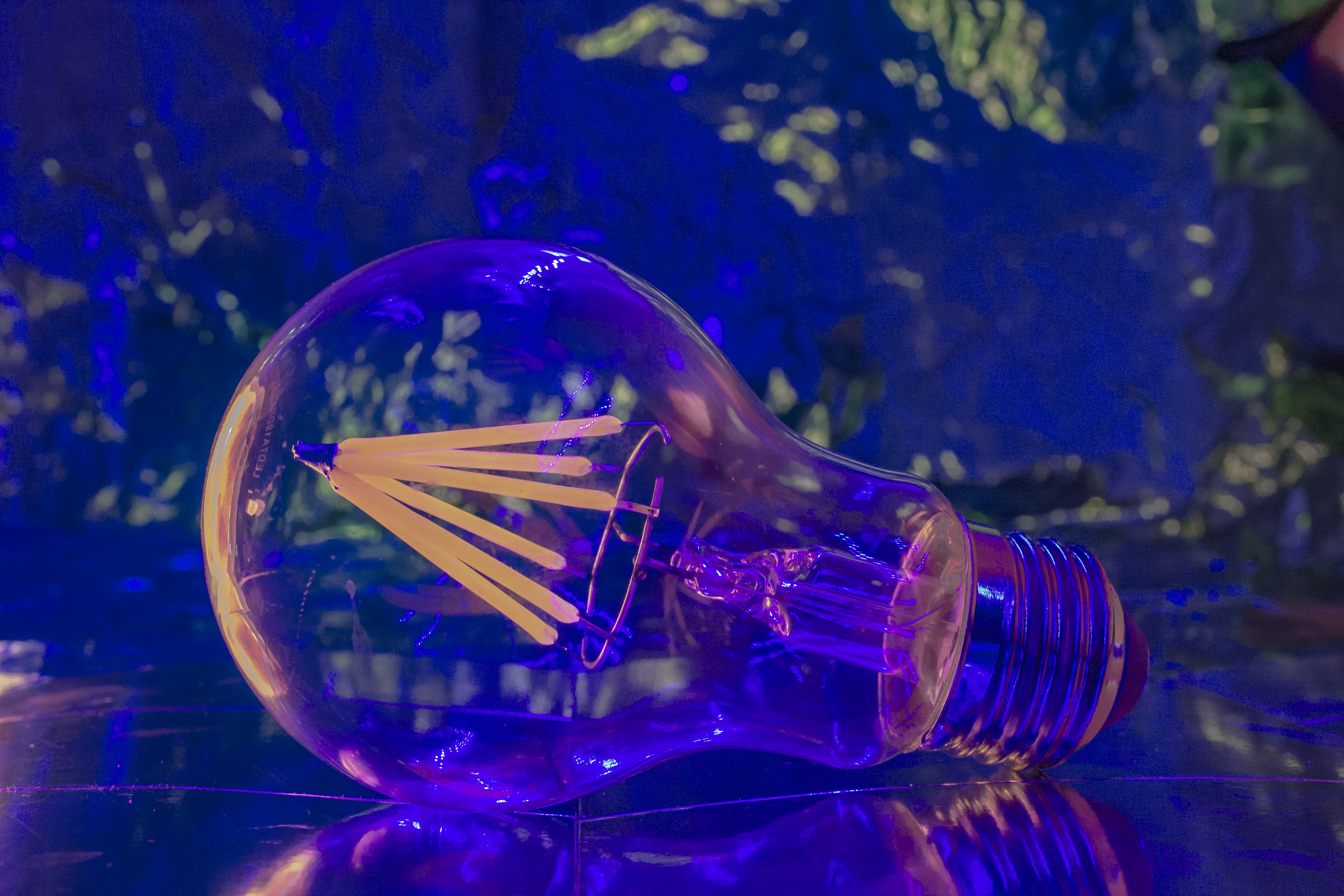 The Bulb 3
