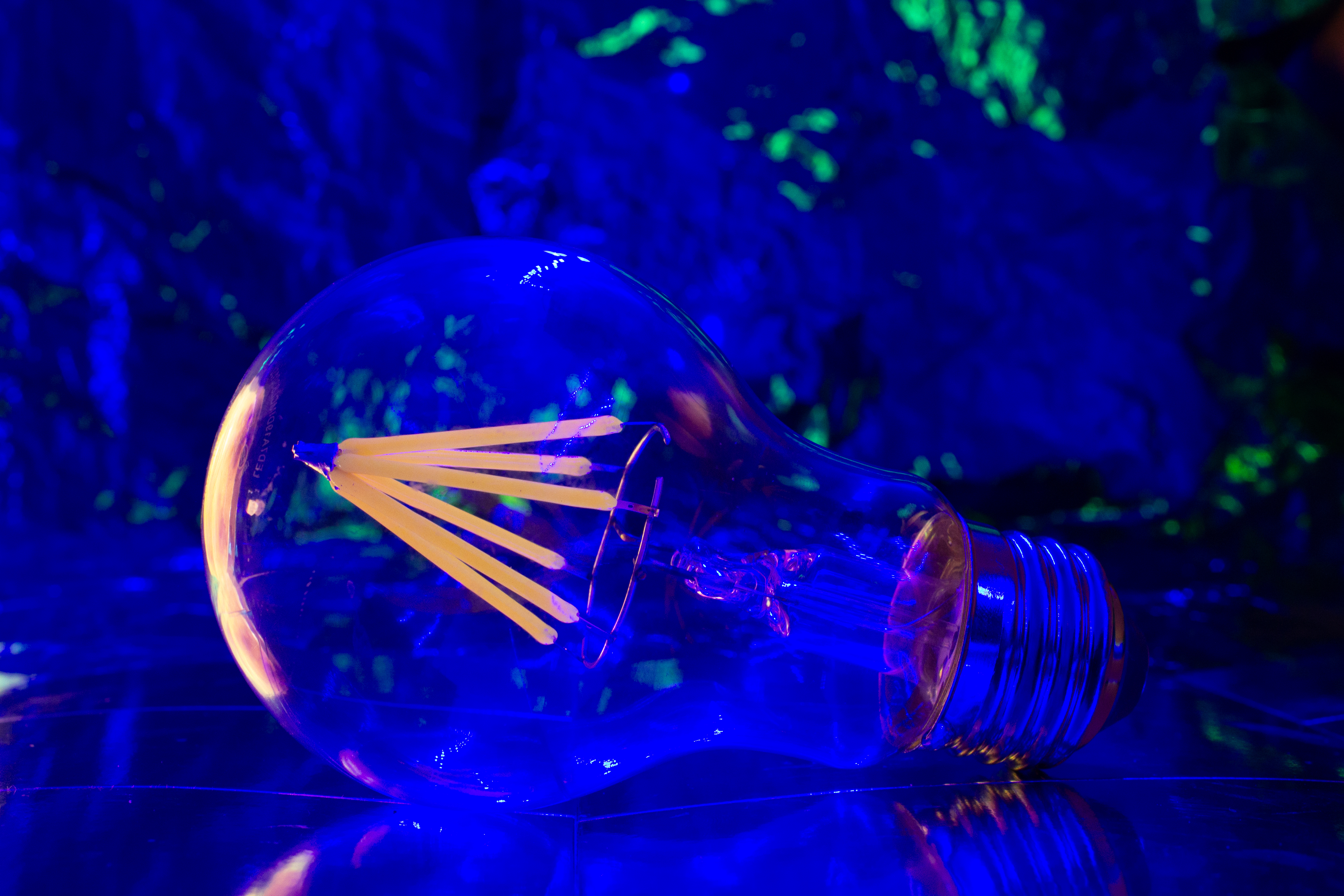 The Bulb 4
